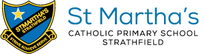stmstrathfield logo